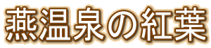 燕温泉の紅葉